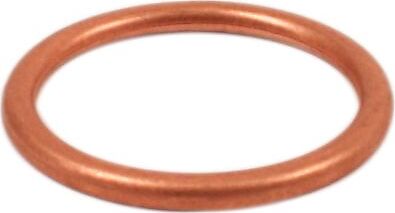 Motorcycle Exhaust Headpipe Gasket (Each)