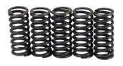 Yamaha FZR400S / IT175 / YZ125 Clutch Spring Kit