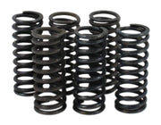 Suzuki GSXR600W / RF600R / RM250 Clutch Spring Kit