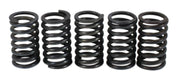 Kawasaki KLX650C / KLX650D / KL600 Clutch Spring Kit
