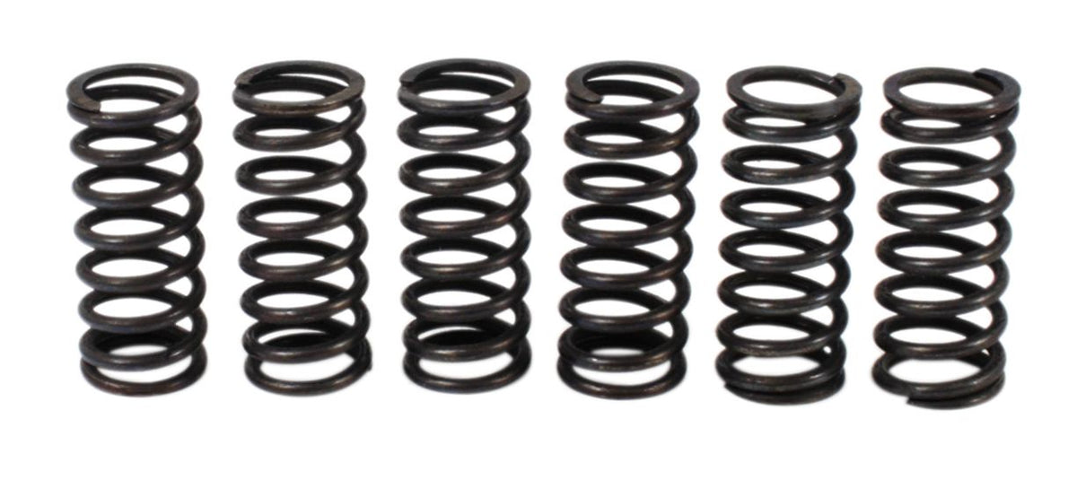 Kawasaki ZX1200C / ZX1100C / ZX1100D Clutch Spring Kit
