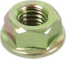 Flange Nuts 6mm