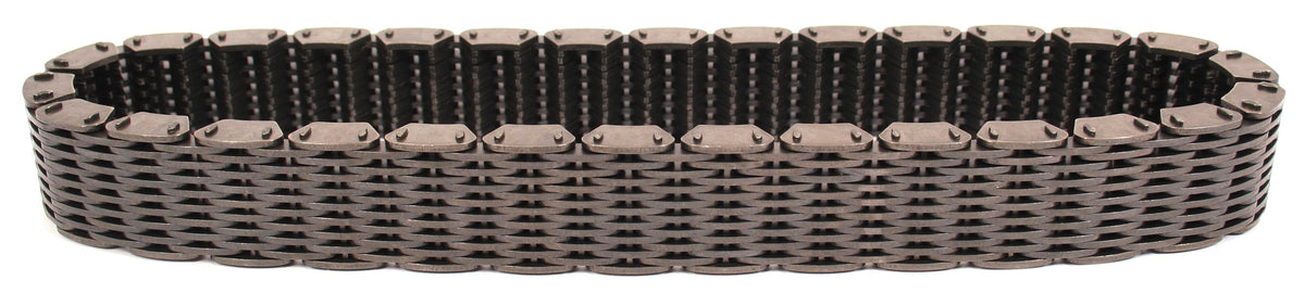 Kawasaki KZ1000F Primary Chain