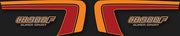 Honda CB900F 1982 Side Panel Stripe & Logo Decal Set Black Model