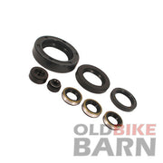 Kawasaki KZ1000 / KZ900 / Z1 Oil Seal Kit